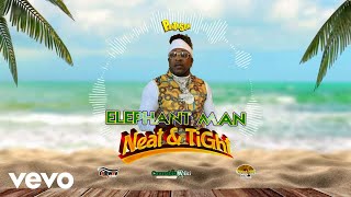 Elephant Man Panta Son  Neat amp Tight Official Audio [upl. by Ocisnarf492]