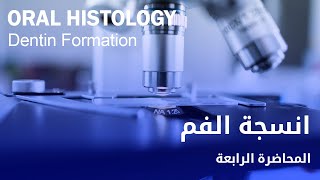 انسجة الفم المحاضرة الرابعة  Oral Histology Dentin Formation [upl. by Arries]