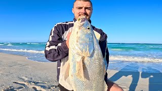 Mulloway From the Beach [upl. by Behnken]