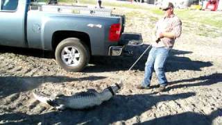 Polysius  Amerafa  Getting the gator onto a pickup [upl. by Tod968]