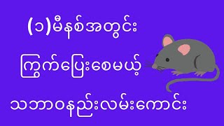 ၁မီနစ်အတွင်း ကြွက်တွေပြေးစေမယ့် သဘာဝနည်းလမ်းကောင်း 🤗 [upl. by Aniretac]