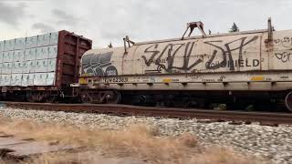 a cool freight train with graffiti on it [upl. by Magbie548]