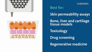 How to Choose 3D Cell Culture Models [upl. by Eduino78]