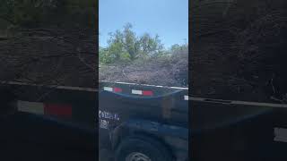 Getting some brushed hauled away life excavationlife excavation skidsteer roadconstruction [upl. by Ares210]