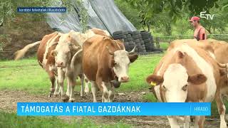 Támogatás a fiatal gazdáknak – Erdélyi Magyar Televízió [upl. by Alysia547]