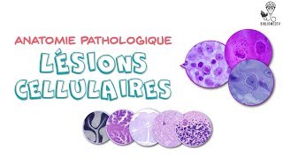 Anatomie Pathologique  Lésions Cellulaires élémentaires [upl. by Durrell]