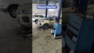 TATA NEXON KAZIRANGA VS NEXON BLACK VS TATA HARRIER ❤️❤️❤️❤️❤️❤️❤️❤️❤️❤️❤️❤️❤️❤️ tatamotors tata [upl. by Weld]