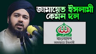 জামায়েত ইসলামী কেমন দল Mufti Ali Hasan Osama মুফতী আলী হাসান উসামা Bangladesh JamaateIslami [upl. by Aelaza906]