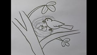 how to draw Bird with nest easy Bird with nest drawing for beginners step by step [upl. by Ybab95]