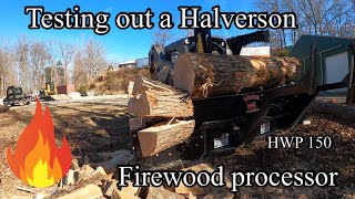 Firewood day with Halverson HWP 150 skid steer processor and boys HalversonWoodProductsInc [upl. by Aratak]