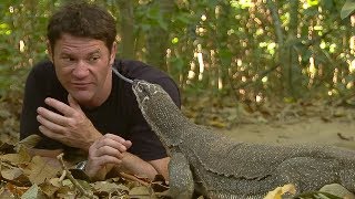 Monitor Lizard LICKS Steves Eye  Deadly 60  BBC Earth [upl. by Relyc]