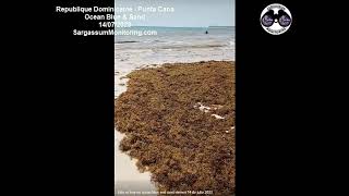 2023 Sargassum  Dominican Republic  Punta Cana  Ocean Blue amp Sand [upl. by Nnayhs]