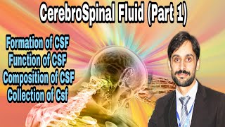 Cerebrospinal fluid  Part1 FormationFunctionComposition amp Collection [upl. by Moreno]