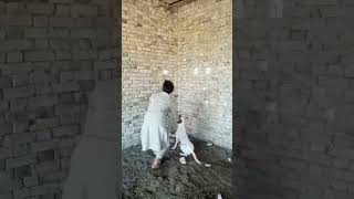 Koshish krny walon ki har nh hoti motivationalvideo doglover humanity [upl. by Nikral]