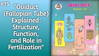 Oviduct Fallopian Tube Explained Structure Function and Role in Fertilizationquot [upl. by Teador]