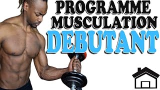 PROGRAMME MUSCULATION MAISON Débutant [upl. by Wells]