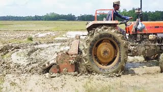 tafe 45di 4wd oranje plowning by vlado josevski farming  of anthropology videos [upl. by Edouard]