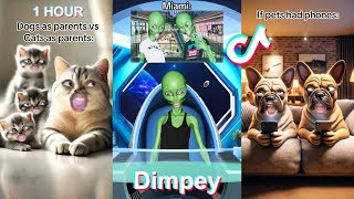 1 HOUR  New Dimpey6 Shorts Compilation 2024  Funny Dimpey TikToks Video [upl. by Aurilia]