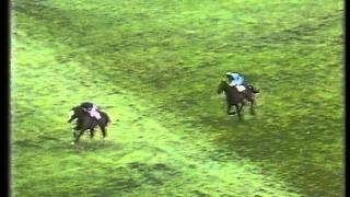 1985 Tingle Creek Handicap Chase [upl. by Netsreik822]