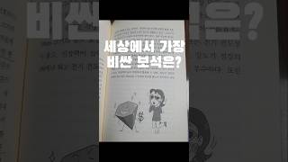 6일창조책소개 지으신것이보시기에좋았더라 세상에서가장비싼보석은 [upl. by Vinaya332]