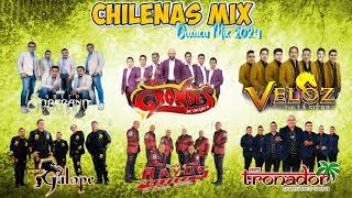 Chilenas De La Oaxaca Mix 2024 ll Grupo Soberano De Tierra Mixteca ft Los Rayos de Oaxaca [upl. by Zetnahs]