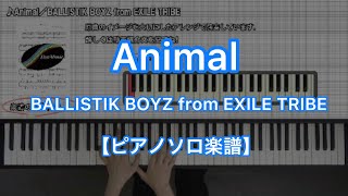 【ピアノソロ楽譜】Animal／BALLISTIK BOYZ from EXILE TRIBE [upl. by Artenra]