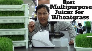 Best Multipurpose Juicer for Juicing Wheatgrass [upl. by Camm]