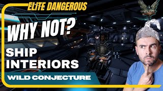 Why YOU Should Care About Ship Interiors in Elite Dangerous [upl. by Notak]