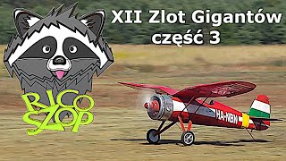 XII Zlot Gigantów 2019 Piknik Modelarski w Kobylnicy część 3 [upl. by Ellenehc842]