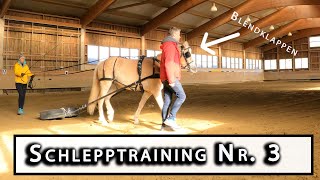 🐴 3 Mal Schleppen  Training für das Kutschen fahren Folge 38 [upl. by Novehs]