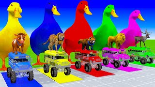 5 Giant Duck Cartoon Cow Lion Panther Deer Weasel Paint Wild Animals Crossing Fountain Animati [upl. by Labannah]