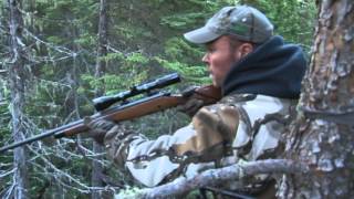 Black Bear Hunting in New Brunswick Canada with JLR Trophy Bear Hunting [upl. by Pearle942]