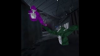 Omny Taggers VS K1ngOfCavesVR and Banana VR PART 1 [upl. by Erastatus]