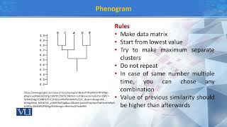 Phenogram  Principles of Systematics  ZOO511TTopic116 [upl. by Swope462]