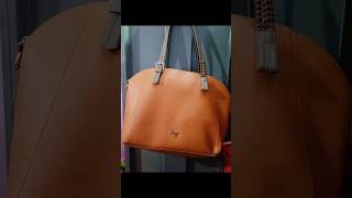 Baggit handbags music songbaggitlyricshortsvideo bag [upl. by Itirahc56]