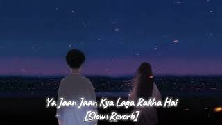 Ya Jaan Jaan Kya Laga Rakha Hai  SlowedReverb Song [upl. by Wun]