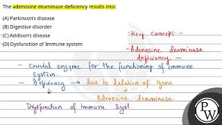 The adenosine deaminase deficiency results into [upl. by Nnayram]