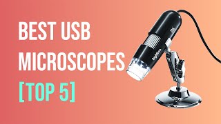 Best USB Microscopes for 2022  Our Top Picks [upl. by Ylirama937]