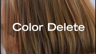 How To Remove Permanent Haircolor In a Single Step  Color Delete [upl. by Airamzul]