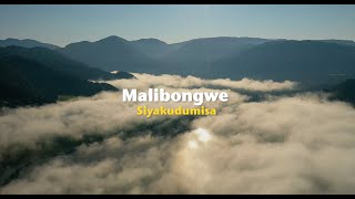 Malibongwe  Siyakudumisa Official Lyric Video [upl. by Enitnatsnoc266]