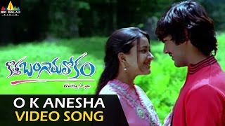 Kotha Bangaru Lokam Video Songs  O K Anesa Video Song  Varun Sandesh Sweta Basu [upl. by Bartie]