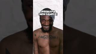 Sample Breakdown JPEGMAFIA  Either on or off the drugs [upl. by Achilles940]