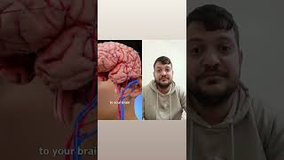 How A Nicotine Patch Words 🤔 deaf deafworld signlanguage deafvideo deafcommunity [upl. by Heber]