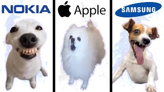 Dog Memes but famous phone ringtones [upl. by Worsham798]