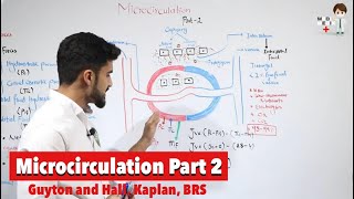 Microcirculation Part 2 Physiology 64 [upl. by Naesal]