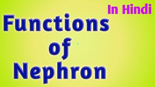 Functions of Nephron  nephron physiologyenglishहिंदी [upl. by Tama]