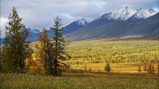 Fän Harisov Uralym Bashkir folk song [upl. by Barth]