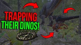 WE TRAPPED THEIR GIGA  ARK Extinction Official PvP  Ep4 [upl. by Ateekram]