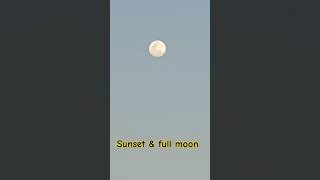 sunset and full moon February 2024 sunsets fullmoon belize offgrid [upl. by Aek540]