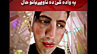 Buner vines new video 2024  Pa wada ke da nawyano hall 🤣🤣🤣 bunervines funny [upl. by Saiasi]